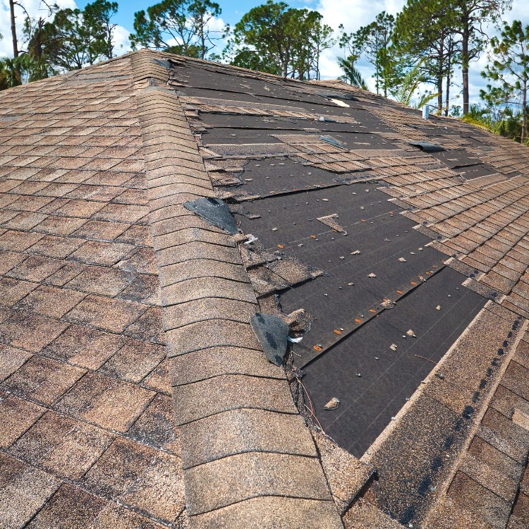 Home Improvement Services in Detroit, MI Home Improvement Services in Detroit, MI